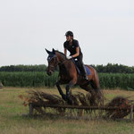 Laura_Lehmann_Reitlehrerin_Magdeburg_Reitunterricht_Gelaendereiten_ausreiten