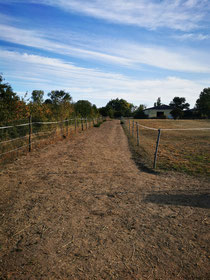 Lauras_Stallparadies_Reitunterricht_Reiten_lernen