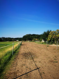 Lauras_Stallparadies_Reitunterricht_Reiten_lernen