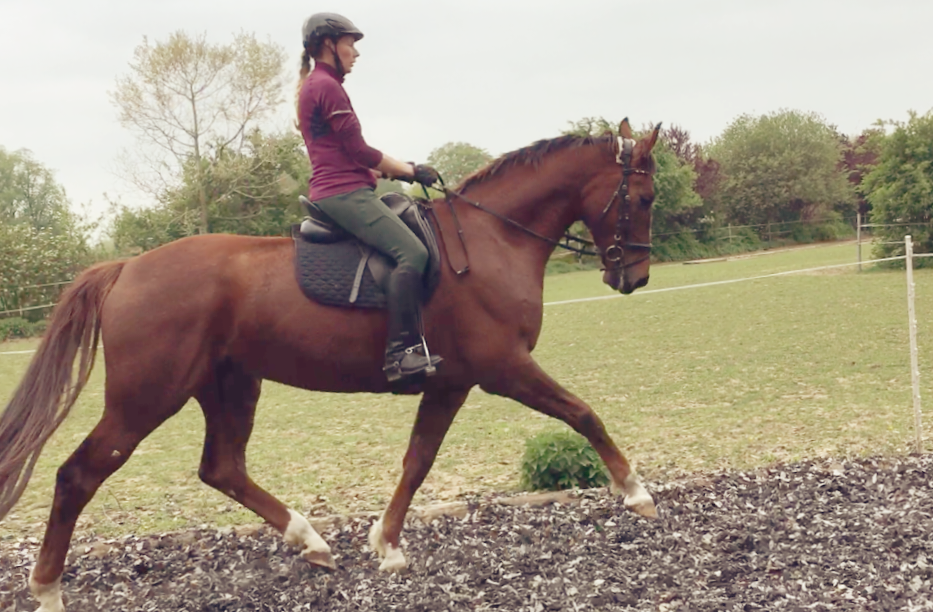 Lauras_Stallparadies_Reitunterricht_Reiten_lernen